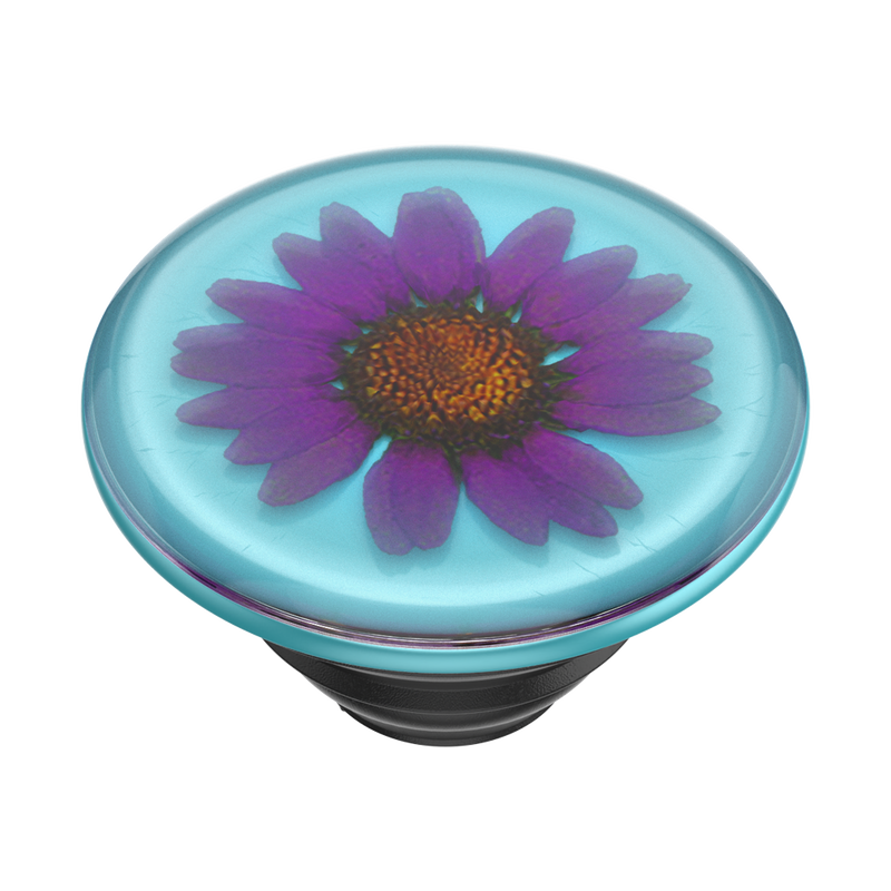 Pressed Flower Purple Daisy — PopTop image number 0